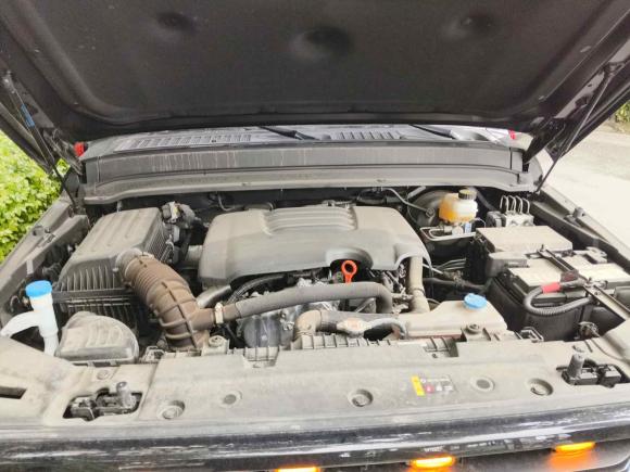 [成都·川G] 二手坦克坦克3002023款 越野版 2.0T 征服者