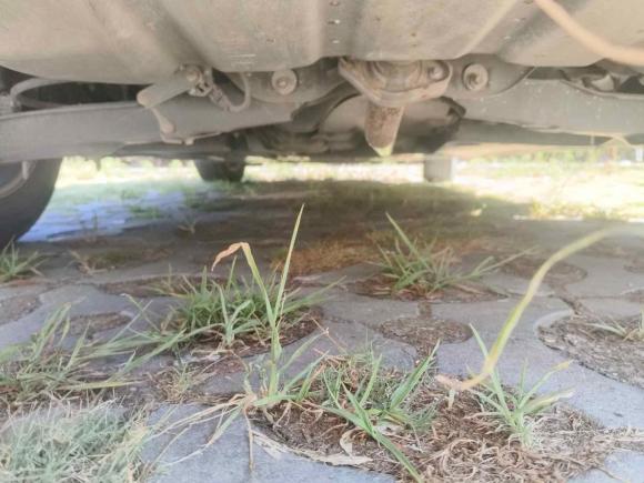 [宁波·渝D] 二手马自达马自达3 昂克赛拉2017款 三厢 1.5L 自动豪华型 国V