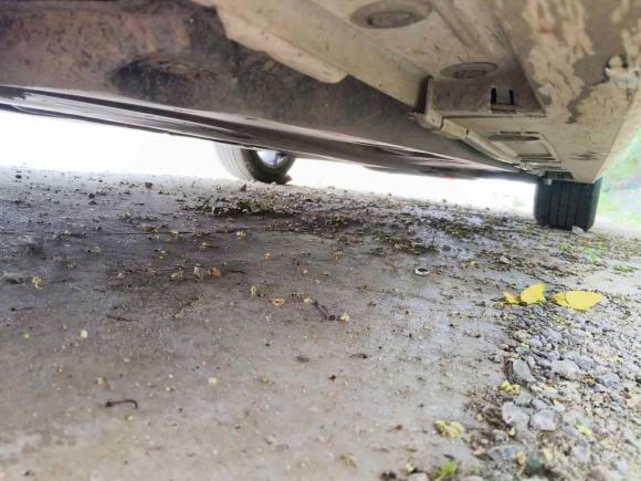 [济南·鲁U] 二手丰田雷凌2021款 TNGA 1.5L CVT进取版