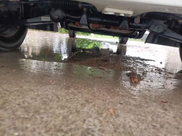 [义乌·闽C] 二手瑞驰新能源瑞驰新能源EC312019款 厢式车标准型41.86kWh