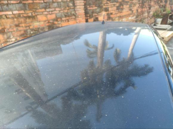 [深圳·渝A] 二手斯柯达晶锐2011款 1.6L 自动晶享版