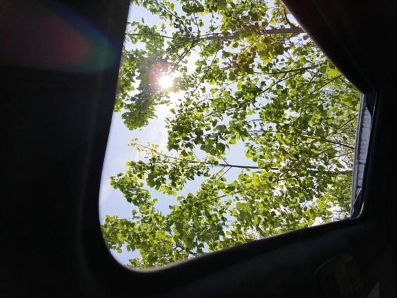 [上海·皖A] 二手马自达马自达CX-42020款 2.0L 自动两驱蓝天活力版