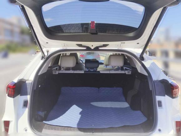 [青岛·鲁B] 二手魏牌魏牌 摩卡2021款 2.0T 两驱特醇版