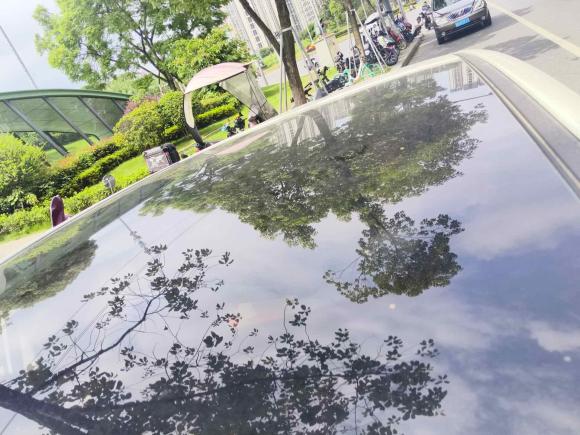 [成都·川E] 二手日产逍客2019款 2.0L CVT豪华版