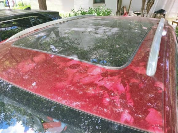 [上海·沪A] 二手宝沃宝沃BX52020款 20TGDI 自动两驱先锋型