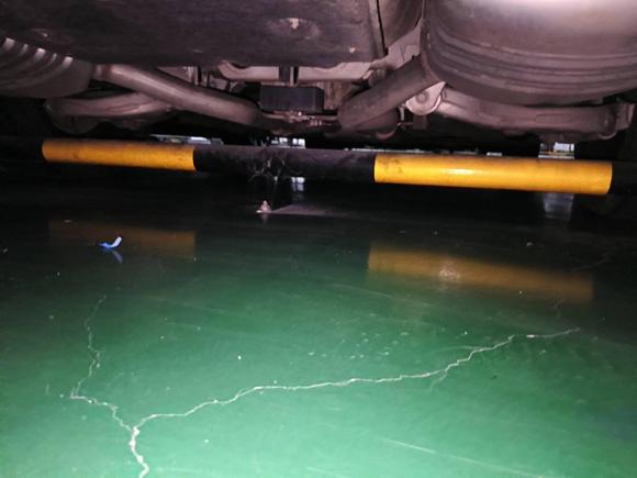 [佛山·粤X] 二手红旗红旗H92020款 2.0T 智联旗享版