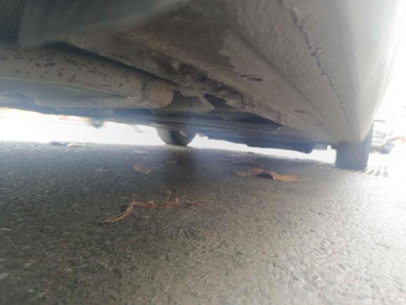 [合肥·皖A] 二手福特福睿斯2015款 1.5L 自动舒适型