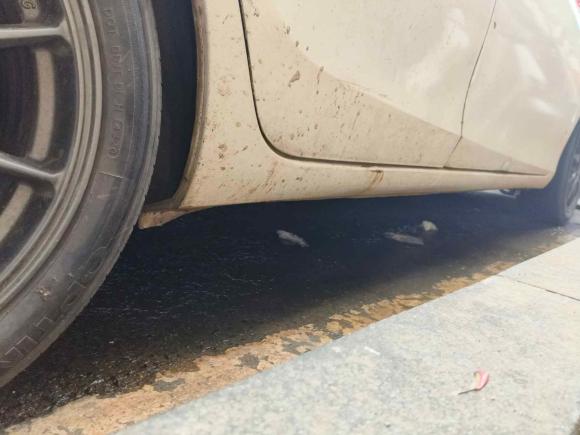 [南昌·赣A] 二手丰田威驰2017款 1.5L CVT创行版