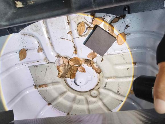 [宁波·浙B] 二手奇瑞艾瑞泽52021款 PRO 1.5L CVT青春版