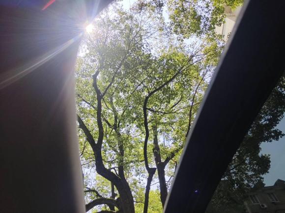 [杭州·浙A] 二手斯柯达明锐2018款 TSI230 DSG豪华版