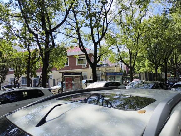 [上海·沪D] 二手福特翼搏2013款 1.5L 自动尊贵型