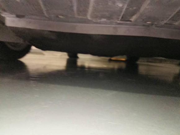 [上海·沪A] 二手福特福克斯2018款 两厢经典 EcoBoost 180 自动运动型