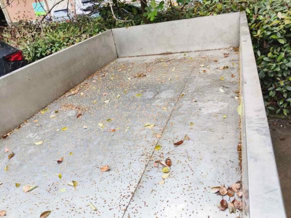 [义乌·浙G] 二手长安跨越新豹T32021款 1.6L舒适版单排仓栅3050mm货箱DAM16KR