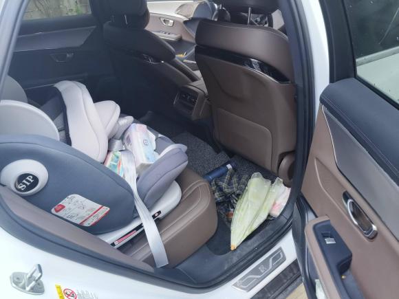 [温州·浙C] 二手比亚迪汉2020款 DM 四驱性能版豪华型