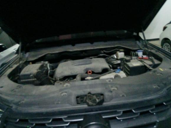 [嘉兴·浙F] 二手长城炮2020款 2.0T越野版自动汽油四驱进阶版GW4C20B