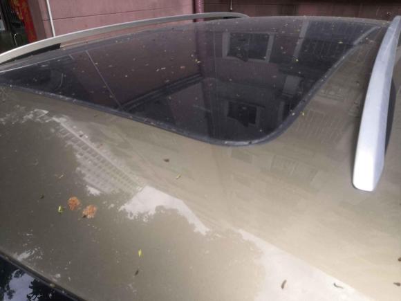 [深圳·粤B] 二手斯柯达柯迪亚克2017款 TSI330 5座两驱豪华版