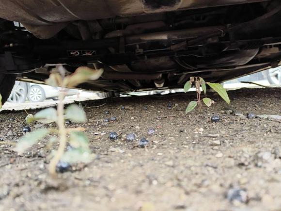 [武汉·鄂A] 二手DSDS 4S2016款 1.6T 自动智享版THP160