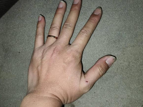 [合肥·皖A] 二手本田思域2009款 1.8L 自动舒适版