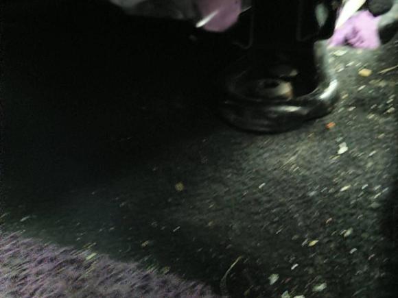 [嘉兴·浙F] 二手福特嘉年华2013款 两厢 1.5L 自动时尚型