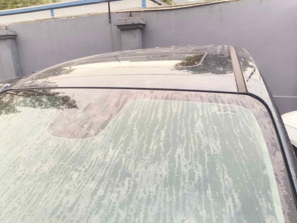 [上海·沪C] 二手广汽传祺传祺M82021款 大师系列 390T 至尊版