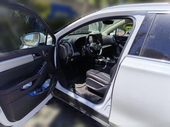 [青岛·鲁B] 二手比亚迪唐新能源2018款 DM 2.0T 全时四驱智联创享型 7座 国V