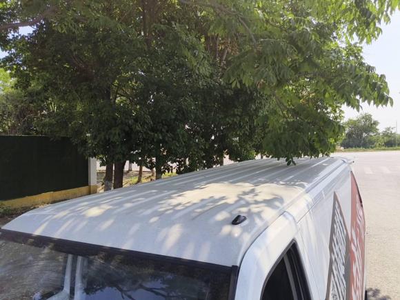 [南京·苏L] 二手开瑞江豚2023款 宽体版 国轩高科40.55kWh