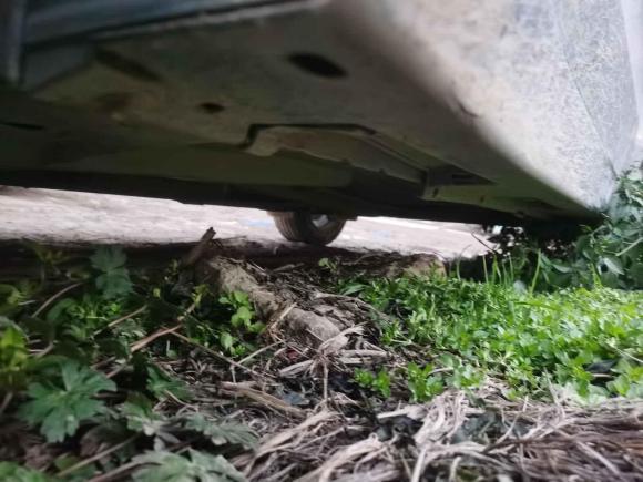 [温州·浙C] 二手丰田逸致2014款 星耀 180E CVT精英版