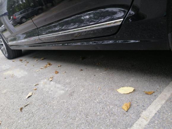 [上海·沪A] 二手大众帕萨特新能源2019款 430PHEV 混动精英版