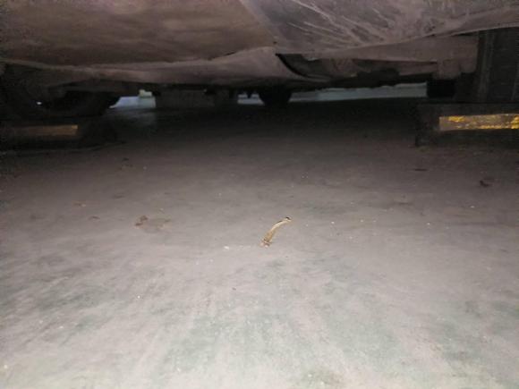 [西安·陕A] 二手奥迪奥迪A4L2015款 35 TFSI 自动标准型