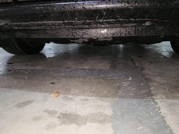 [佛山·粤X] 二手本田雅阁2011款 2.4L EX