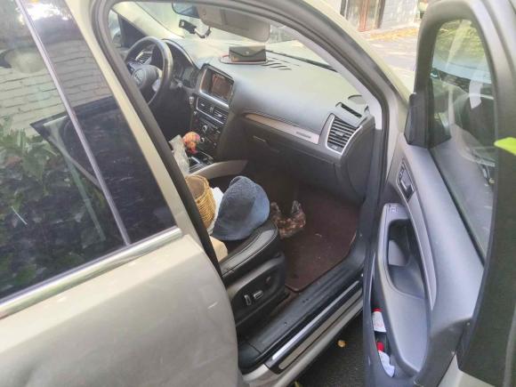 [合肥·皖A] 二手奥迪奥迪Q52016款 40 TFSI 进取型