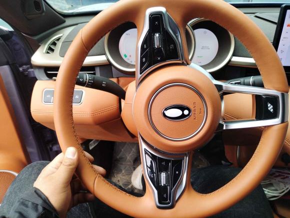 [芜湖·皖B] 二手欧拉欧拉闪电猫2022款 555km 尊贵版