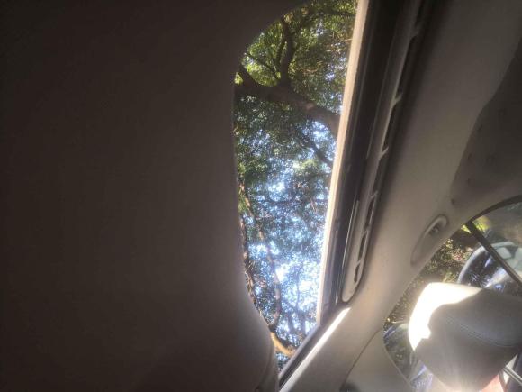 [湖州·浙C] 二手斯柯达明锐2010款 1.6L 自动逸俊版