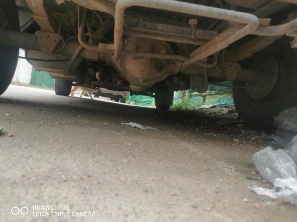 [金华·浙G] 二手依维柯依维柯褒迪2012款 2.5T-A32 基本型