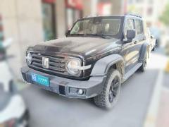 [宁波·浙B] 坦克坦克3002021款 越野版 2.0T 征服者