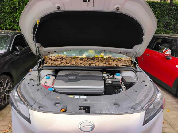 [上海·沪A] 二手埃安AION S Plus2021款 80 科技版