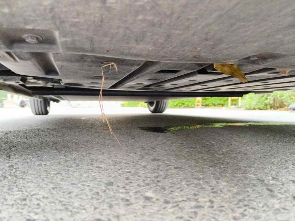 [广州·粤A] 二手比亚迪海鸥2023款 自由版