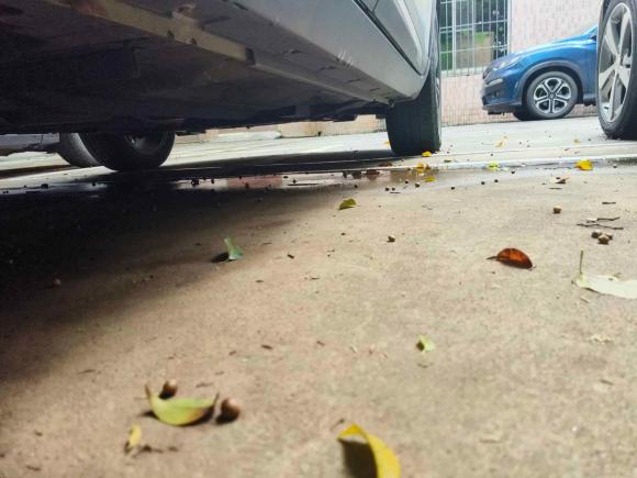 [佛山·粤E] 二手日产劲客2020款 1.5L XV CVT智联豪华版