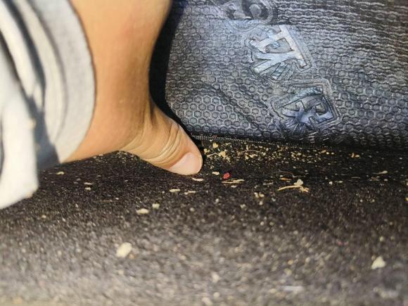 [合肥·皖A] 二手雪铁龙世嘉2016款 经典 三厢 1.6L 手动CNG