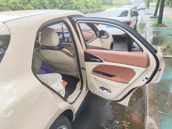 [杭州·浙A] 二手欧拉欧拉好猫2023款 401km标准续航 豪华型 三元锂