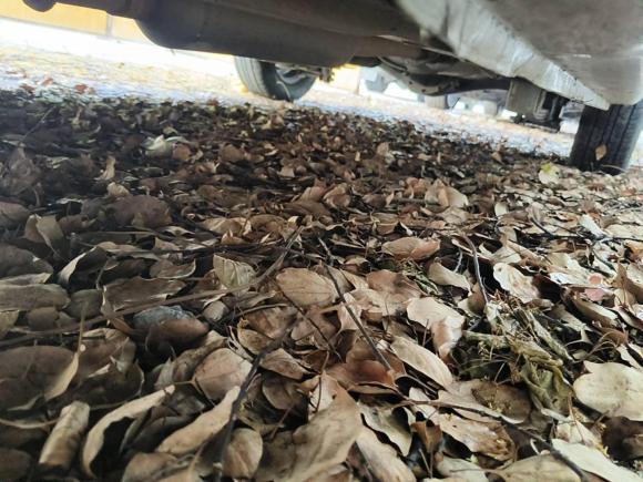 [上海·皖K] 二手五菱汽车五菱宏光2015款 1.5L S 基本型国V