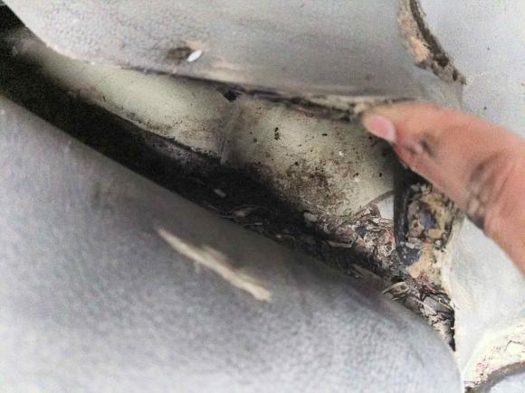 [苏州·苏U] 二手福田图雅诺2020款 2.5T 手动通途长轴中顶5/6/7座4J25TC3