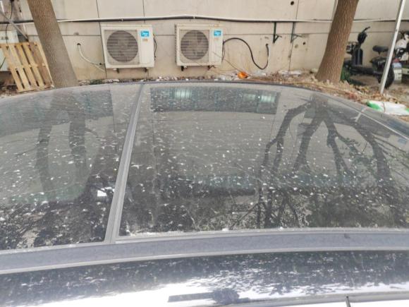 [上海·沪D] 二手奔驰奔驰E级2017款 E 300 L 豪华型