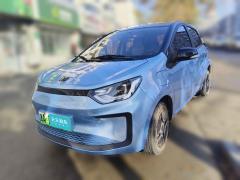 [天津·津A] 思皓花仙子2021款 集美版 302km 时尚型