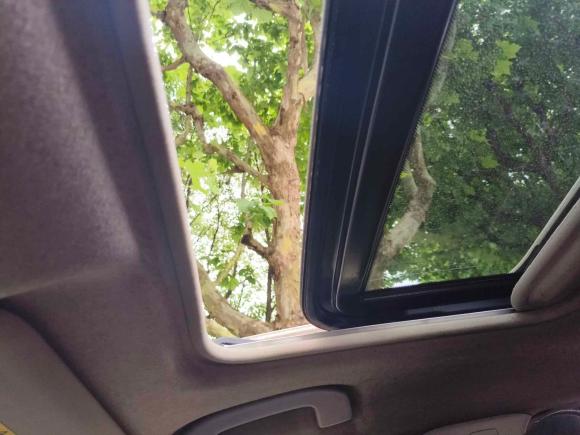 [上海·沪C] 二手日产轩逸2016款 1.6XL  CVT尊享版