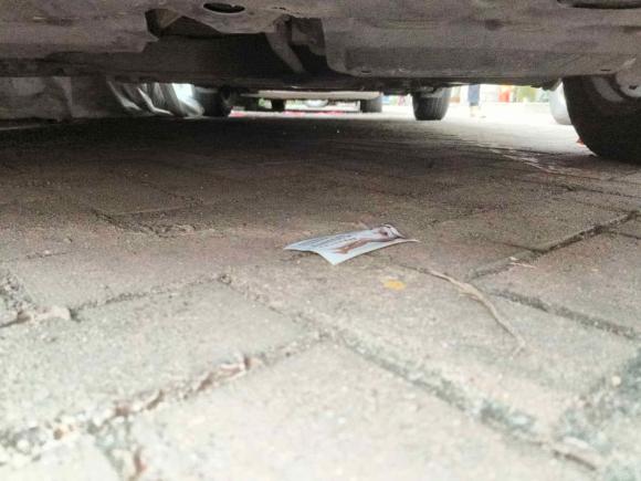 [佛山·粤E] 二手丰田雷凌2018款 185T CVT豪华版