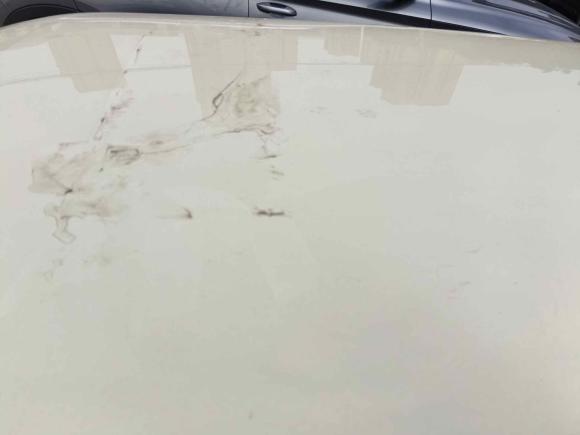 [上海·沪A] 二手MINIMINI2012款 1.6L ONE Baker Street