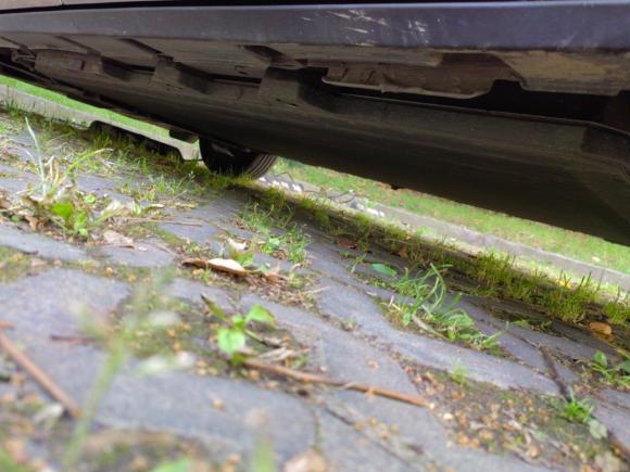 [上海·沪A] 二手比亚迪海豚2021款 405km 时尚版