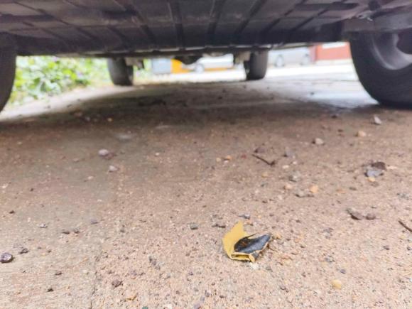 [青岛·鲁U] 二手长安欧尚长安欧尚X70A2018款 1.5L 手动精英型