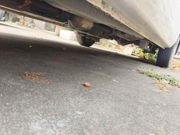 [温州·贵C] 二手五菱汽车五菱宏光2020款 1.2L S基本型国VI LSI